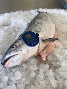 Fish Supplier for Hotels South West